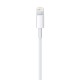 Apple Lightning to USB Cable (1m) Apple Lightning to USB Cable (1m)