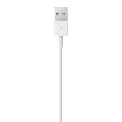 Apple Lightning to USB Cable (1m) Apple Lightning to USB Cable (1m)