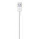 Apple Lightning to USB Cable (1m) Apple Lightning to USB Cable (1m)